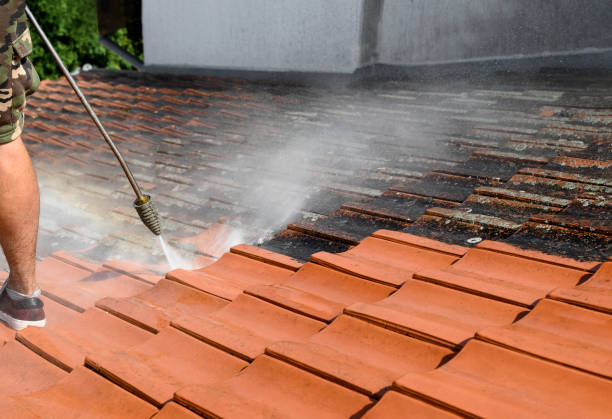 Best Residential Pressure Washing Services  in League City, TX