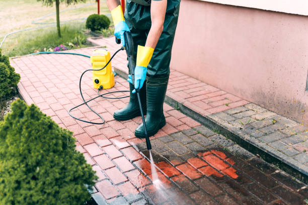 Best Roof Pressure Washing  in League City, TX