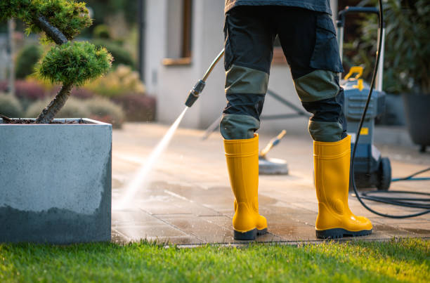Best Best Pressure Washing Companies  in League City, TX